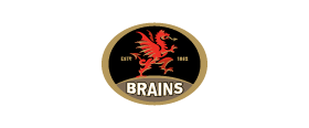 Brains